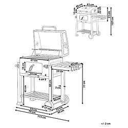 Avis Beliani Gril de barbecue au charbon gris PAVLOF