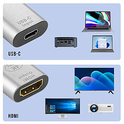 Acheter Avizar Adaptateur USB-C femelle vers HDMI femelle 4K Design Compact Argent