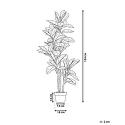 Avis Beliani Plante artificielle FICUS ELASTICA Vert