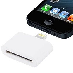 Wewoo Adaptateur blanc pour iPhone 6 et 6 Plus, 5 5S 5C, iPad mini / mini 2 Retina, iPod touch 5 Lightning mâle à 30 broches femelle,