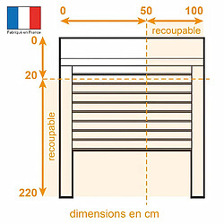 France Combi FRANCE-COMBI Volet roulant PVC manuel a tirage pour porte - L 100 x H 220 cm