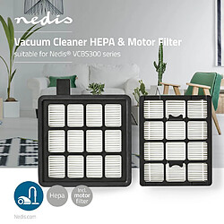 Alpexe Filtre Moteur et HEPA pour Aspirateur | Compatible avec la Série Nedis® VCBS300