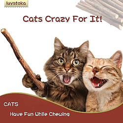 Jouets pour chat Silvervine Sticks - Jouets à mâcher interactifs pour chats