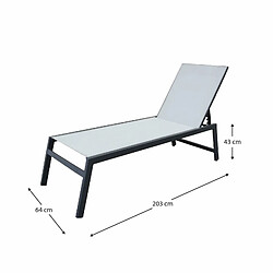 Acheter Ensemble de 2 Chaises Longues de Jardin Chillvert Pisa 203x64x43 cm en Aluminium avec Coussin Inclus Gris Clair et Anthracite