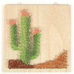 Graines Creatives Coffret cadre en bois String Art 22 x 22 cm - Cactus