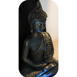 Avis Statuette - Bouddha Thai - H 25 cm