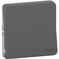 va et vient - gris - composable - mureva styl - schneider electric mur37021