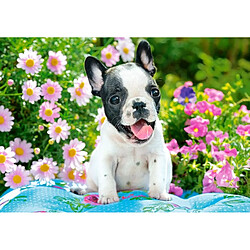 Puzzle 500 pieces French Bulldog Puppy