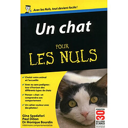 Un chat pour les nuls