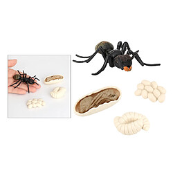 2x Simulation Ant Growth Life Cycle Figures Jouet D'imagination pour Les Enfants pas cher