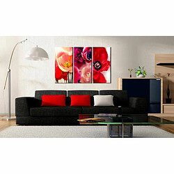 Paris Prix Tableau Imprimé Coquelicots Trois Perspectives 40 x 60 cm