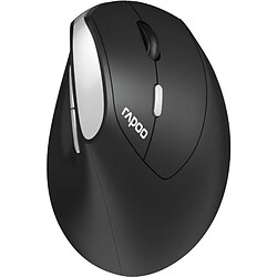 Acheter Rapoo Kabellose ergonomische Maus EV250, Schwarz Einstellbarer Sensor mit 1600 DPI