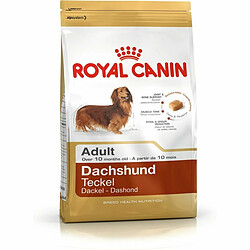 Nourriture Royal Canin Dachshund Adult Adulte Riz Oiseaux 1,5 Kg