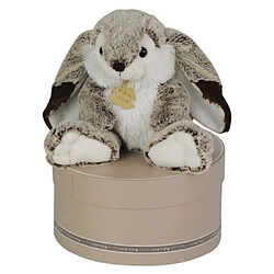 Histoire d'Ours Lapin Marius 30cm avec boite