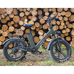 Acheter Autrement PHNHOLUN C6 PRO-Vélo électrique 20'' - Moteur 1000W - Batterie au Lithium Amovible - 48V 17Ah - Tout suspendu -Autonomie 80KM + APP