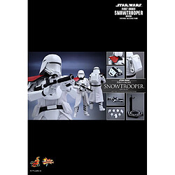 Hot Toys MMS322 - Star Wars : The Force Awakens - First Order Snowtroopers Officier