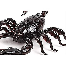 Acheter Universal Infrarouge RC Scorpion Modèle Toy Animal Present pour les enfants, High Simulation Animal Scorpion Infrarouge