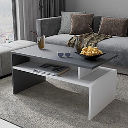 EPIKASA Table Basse Ada