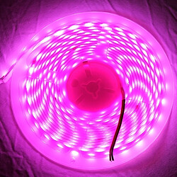 Wewoo Ruban LED Waterproof Epoxyde Magenta Lumière de corde imperméable époxyde de la 5050 SMD de 14W, 60 / M, longueur: 5m