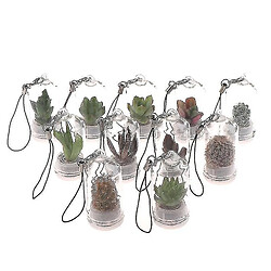 Universal Collier portable miniature cactus bricolage