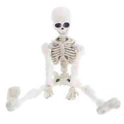 Universal Halloween Movable Skeleton Human Model Skull Full Full Body Mini Figure Toy