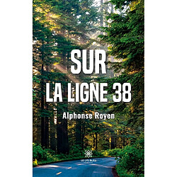 Sur la ligne 38 - Occasion