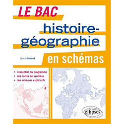 Le bac histoire géographie en schémas - Occasion