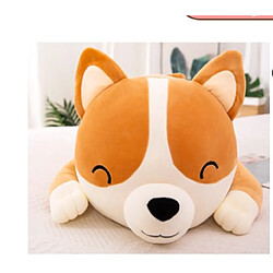 Universal 1 pièce 60cm mignon chien peluche mignon Chai chien chien oreiller peluche coussin de couchage enfant bébé cadeau d'anniversaire | Peluche animaux