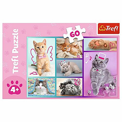 Avis Trefl- Chatons Mignons 60 éléments-Puzzles Colorés avec Les Animaux, Chats, Collage, Divertissement Créatif, Jeu pour Enfants Plus de 4 Ans, 17373, Taille Unique