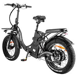 Acheter Fafrees – vélo électrique F20 x-max, pneus larges de 20x4.0 pouces, moteur sans balais de 750W, batterie de 48V 30ah, vitesse maximale par défaut de 25 km/h