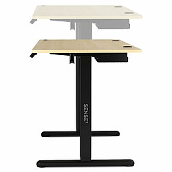 Acheter Sense7 Nojo Table d'ordinateur Gamingtisch Bureau, 120 x 60 cm, réglage électrique de la hauteur, fonction mémoire, porte-casque, organisateur de câbles