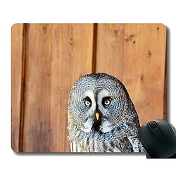 Universal (260x210x3) Tampons de souris Personnalisés, Mouspade de base en caoutchouc sans glissement Wild Bart Owl