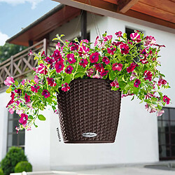 LECHUZA Jardinière suspendue NIDO Cottage 28 ALL-IN-ONE Moka