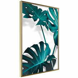 Paris Prix Affiche Murale Encadrée Turquoise Monstera II 20 x 30 cm Or