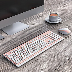 Avis Ensemble clavier et souris sans fil 2.4G pour bureau à domicile sans fil ultra-mince - Rose