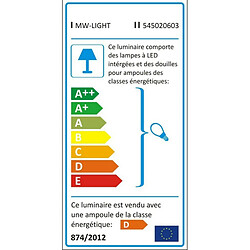 Acheter De Markt Techno Astor white+grey color metal 2*50W GU10 no bulbs included IP20 545020603