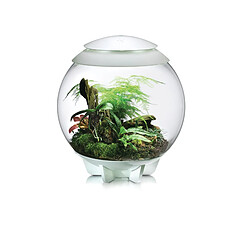 Terrarium décoratif 60l avec cadre blanc - Air 60 white - OASE pas cher