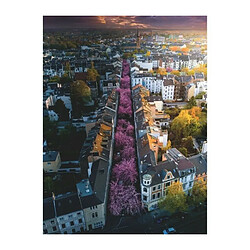 Avis Ravensburger 1500 pcs paysage Bonn en fleurs