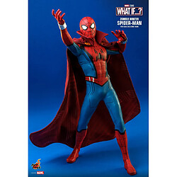 Avis Hot Toys TMS058 - Marvel Comics - What If - Zombie Hunter Spider-Man