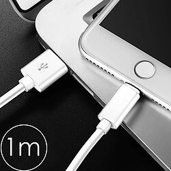 Avis Câble Lightning vers USB Charge & Synchronisation d'origine Apple 1m - Blanc