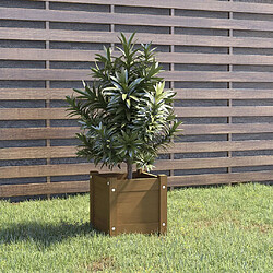 Maison Chic Jardinière,Bac à fleurs - pot de fleur extérieur Marron miel 31x31x31 cm Bois de pin massif -GKD31126