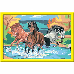 Ludendo Tableau à peindre - Les chevaux sauvages - Ravensburger Numéro d'Art