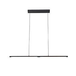 Luminaire Center Suspension Torch Noir 7 Cm