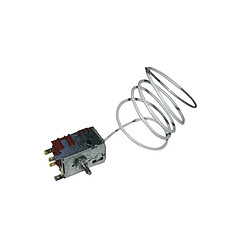 Bsk THERMOSTAT 077B5223 EN60830-29 POUR REFRIGERATEUR B.S.K INTERNATIONAL - 242502127