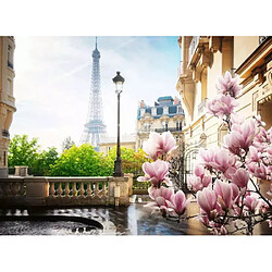 Nathan 500p puzzle Le printemps a Paris