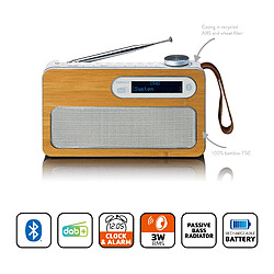 Avis Lenco Radio DAB+/FM portable avec batterie rechargeable et Bluetooth® PDR-040EF Gris-Blanc