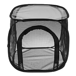 Cage à insecte