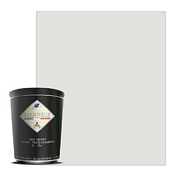 BARBOUILLE Peinture lessivable acrylique mat – murs et plafonds