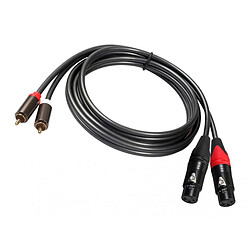 Câble Double XLR vers RCA pas cher