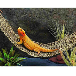 Avis 2x Hamac Reptile Lézard Iguanes Chaise Longue Réservoir Suspendu Net Basking Platform